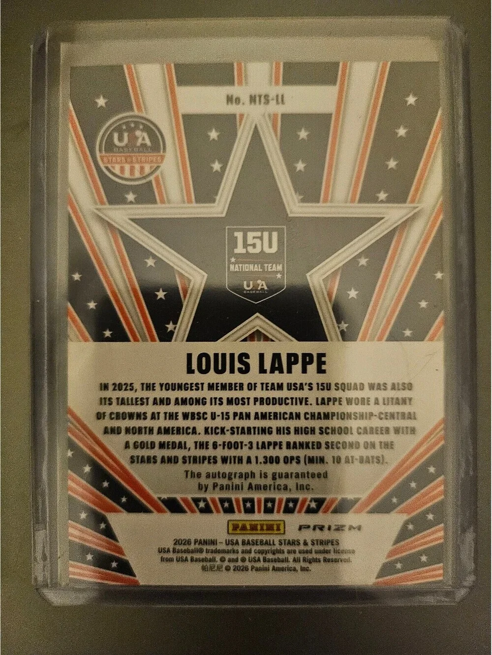 Panini louis lappe
